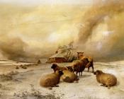 托马斯辛德尼库珀 - Sheep In A Winter Landscape